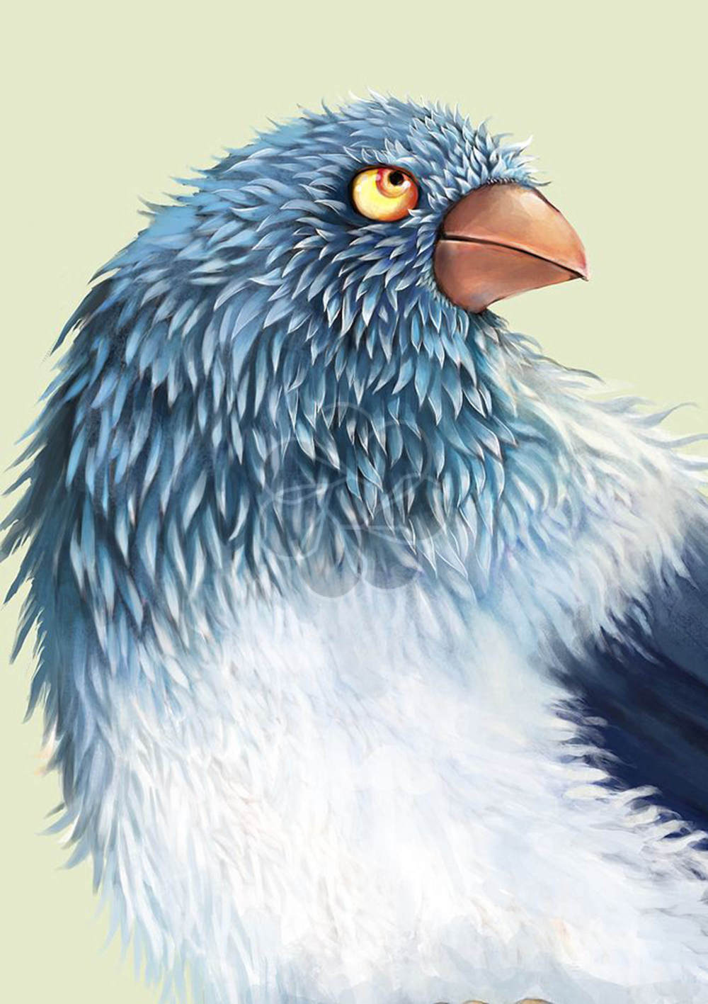 蓝色羽毛的鸟1